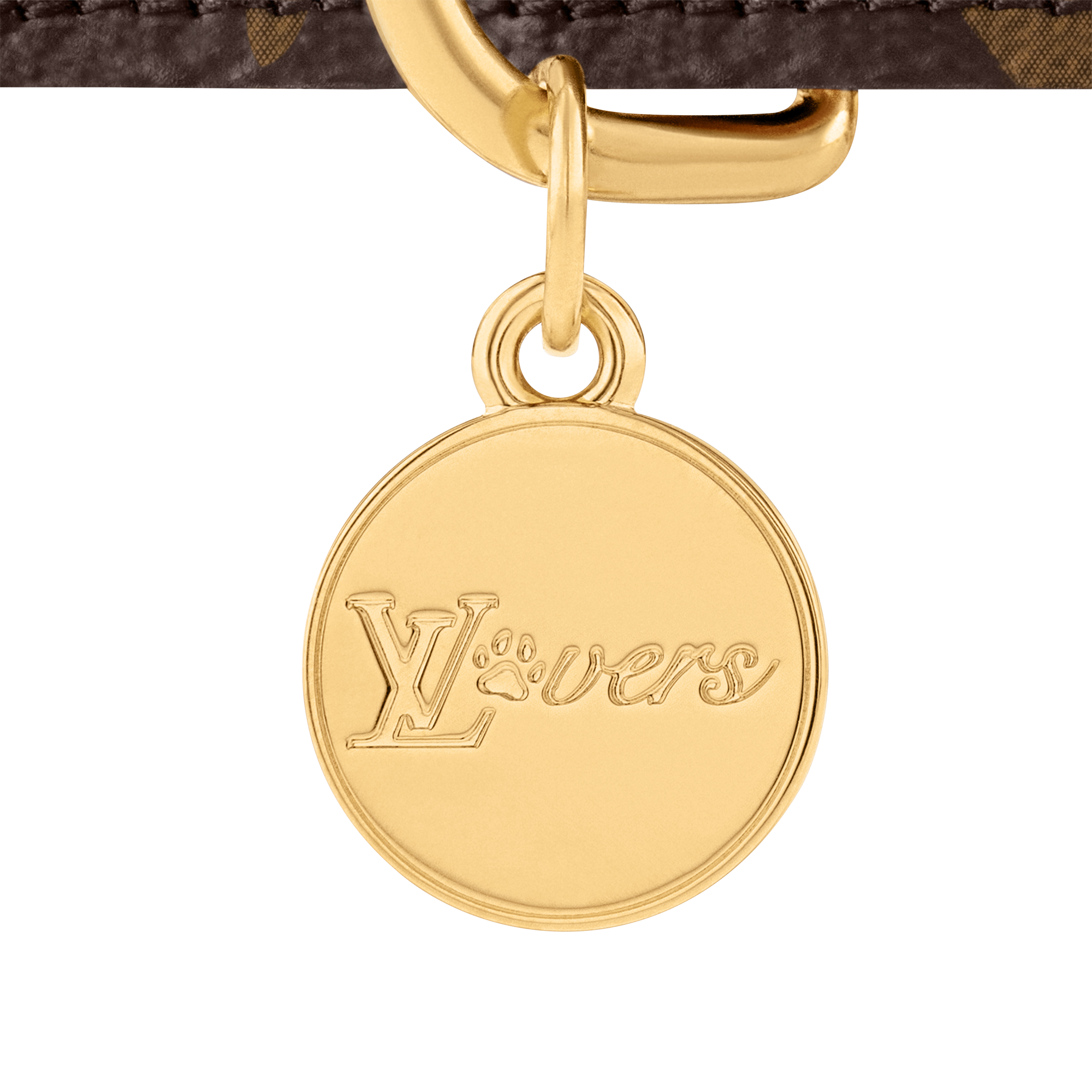 Dog Collar XS - Luxury Brown | LOUIS VUITTON